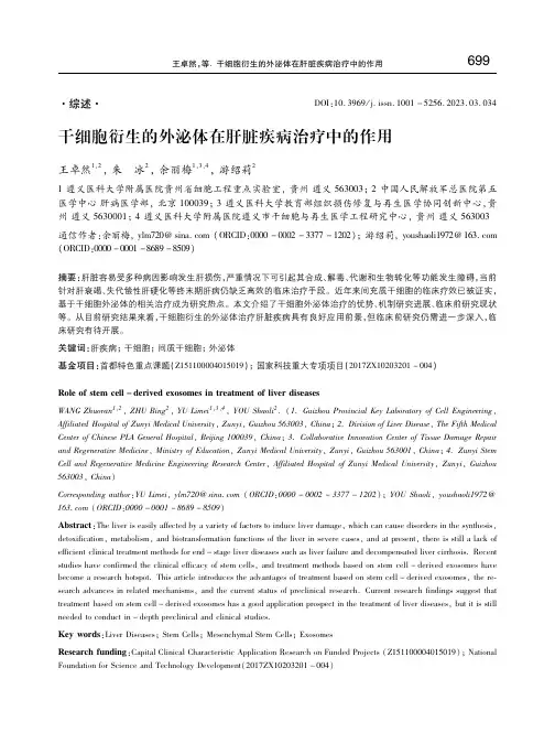 干细胞衍生的外泌体在肝脏疾病治疗中的作用