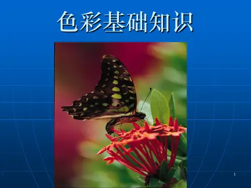 色彩基础知识总结ppt课件