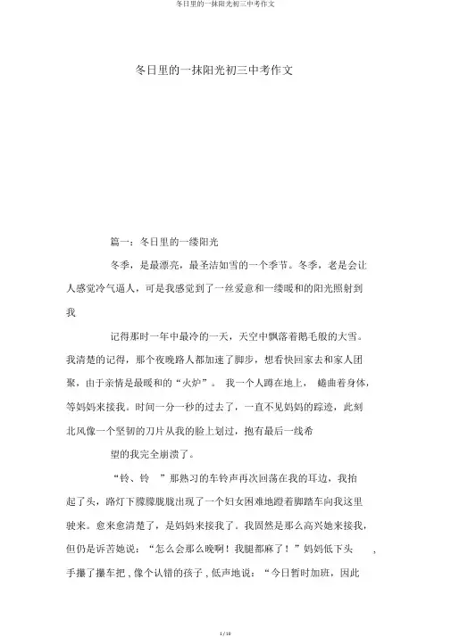 冬日里的一抹阳光初三中考作文