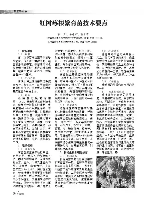 红树莓根繁育苗技术要点