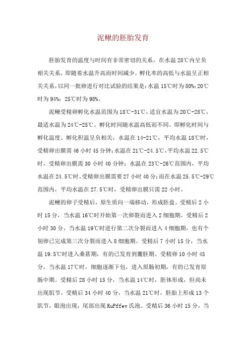泥鳅的胚胎发育