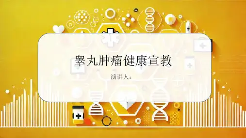 睾丸肿瘤健康宣教课件