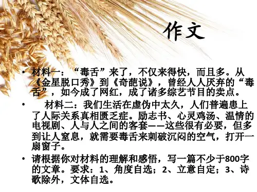 作文审题指导 毒舌