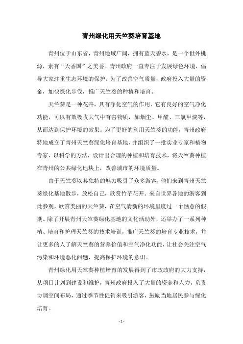 青州绿化用天竺葵培育基地