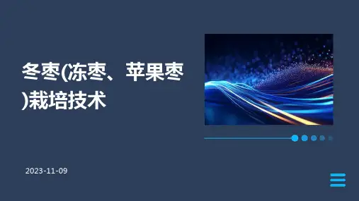 冬枣(冻枣、苹果枣)栽培技术
