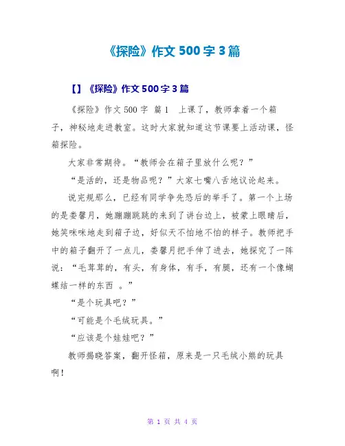 《探险》作文500字3篇