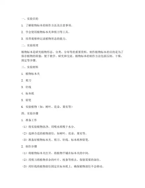 制作标本实验报告