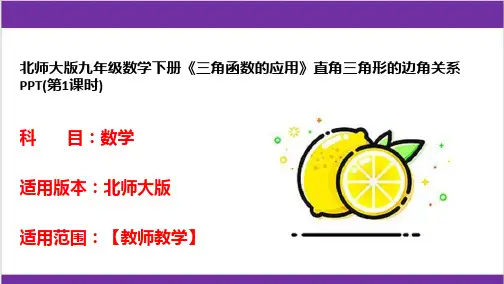 北师大版九年级数学下册《三角函数的应用》直角三角形的边角关系PPT(第1课时)