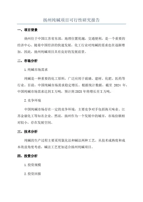 扬州纯碱项目可行性研究报告