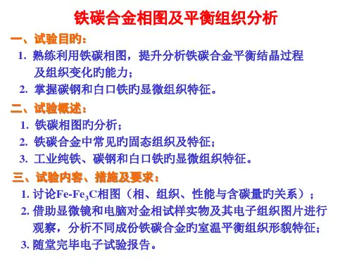 铁碳合金相图及平衡组织分析