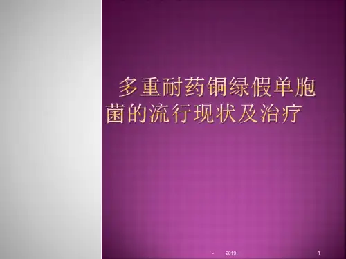 铜绿假单胞菌感染的流行趋势及治疗进展ppt课件