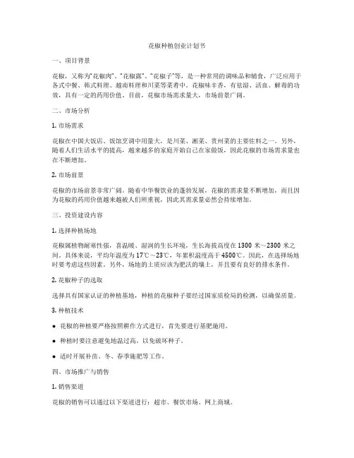 花椒种植创业计划书