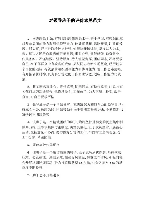 对领导班子的评价意见范文