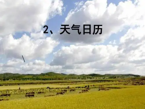 四年级科学《天气日历》