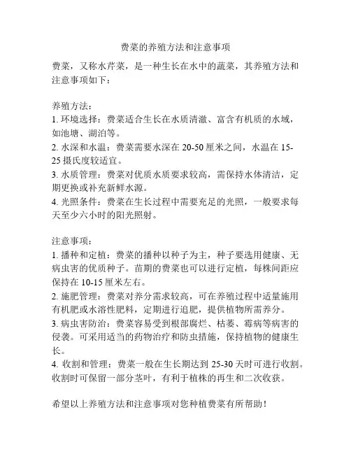 费菜的养殖方法和注意事项