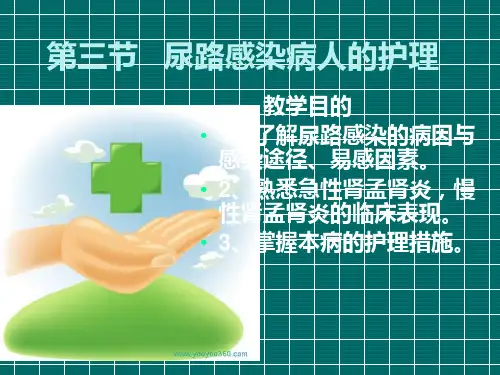 尿路感染的护理