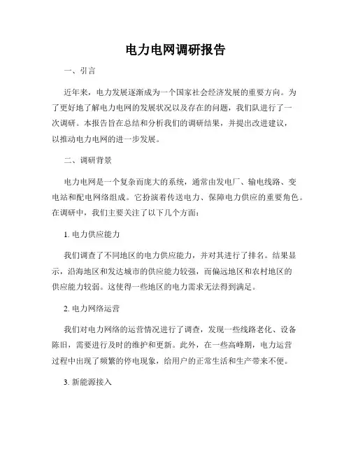 电力电网调研报告