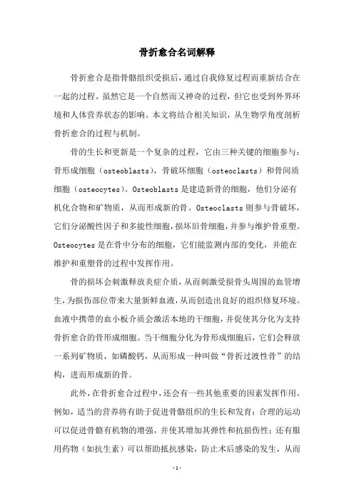骨折愈合名词解释