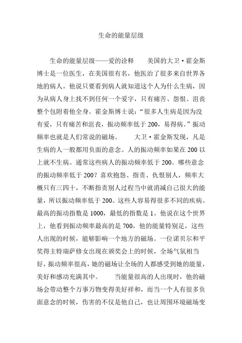 生命的能量层级