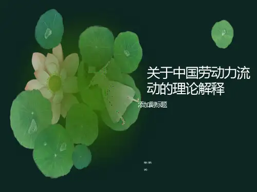 发展经济学-中国劳动力流动的理论解释