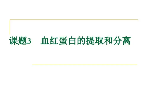 蛋白质的提取和分离