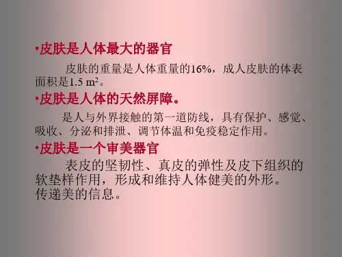 皮肤的保健和美容
