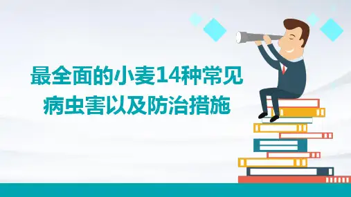 最全面的小麦14种常见病虫害以及防治措施