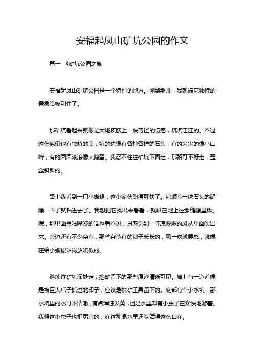 安福起凤山矿坑公园的作文