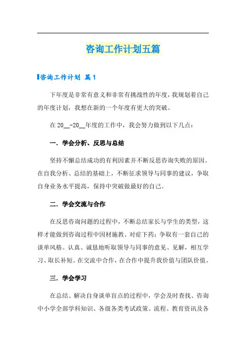 咨询工作计划五篇