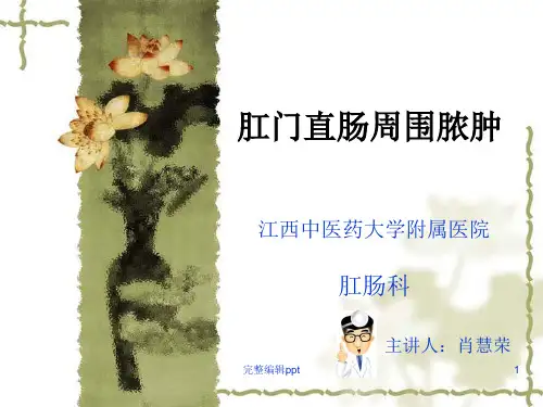 肛周脓肿ppt完整版
