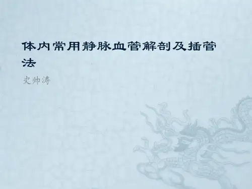 体内各静脉血管解剖及插管法n ppt课件
