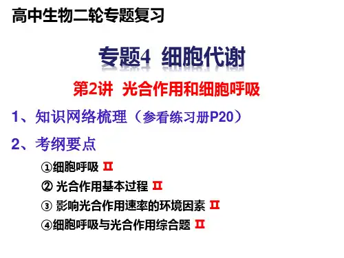 2021届高三二轮复习生物光合作用和细胞呼吸课件
