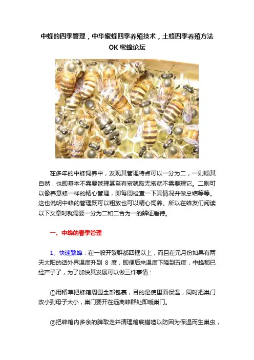 中蜂的四季管理，中华蜜蜂四季养殖技术，土蜂四季养殖方法OK蜜蜂论坛