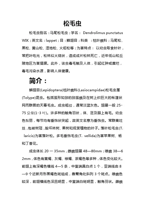 松毛虫