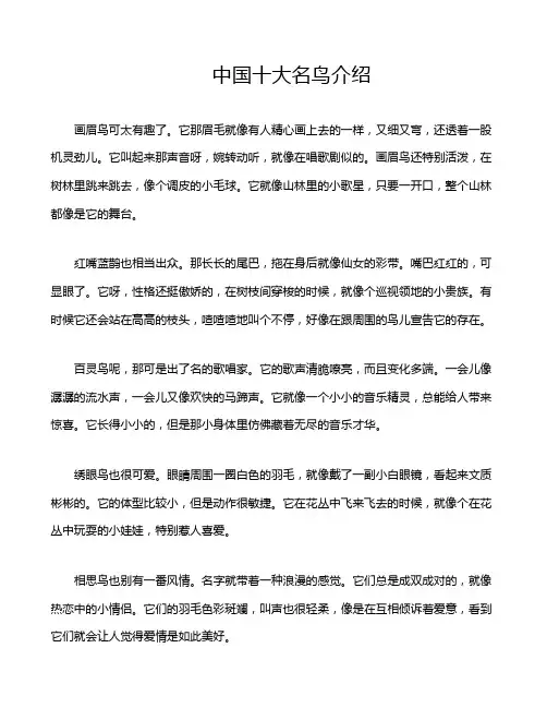 中国十大名鸟介绍