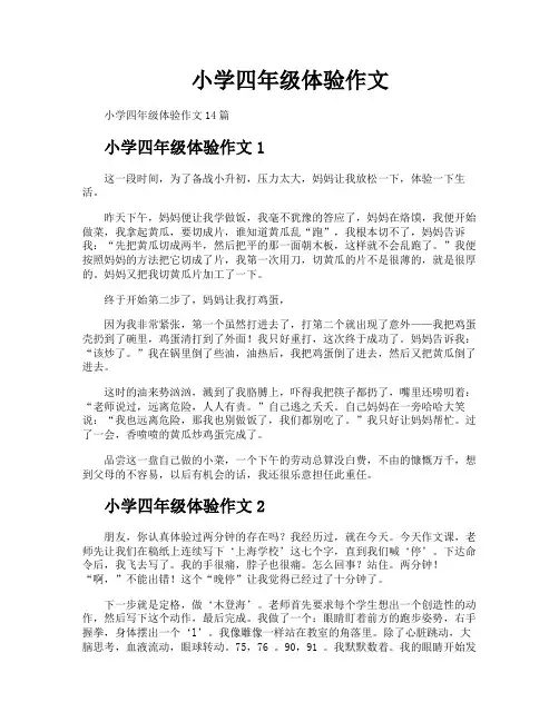 小学四年级体验作文