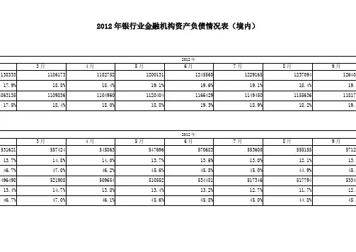 2012我国银行资产负债表