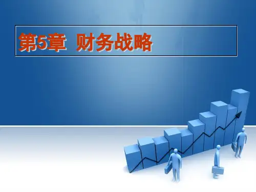 财务战略概述