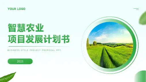 智慧农业乡村振兴农村发展项目规划书PPT通用模板