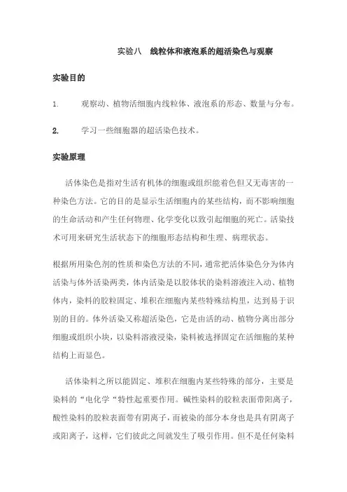 实验八  线粒体和液泡系的超活染色与观察
