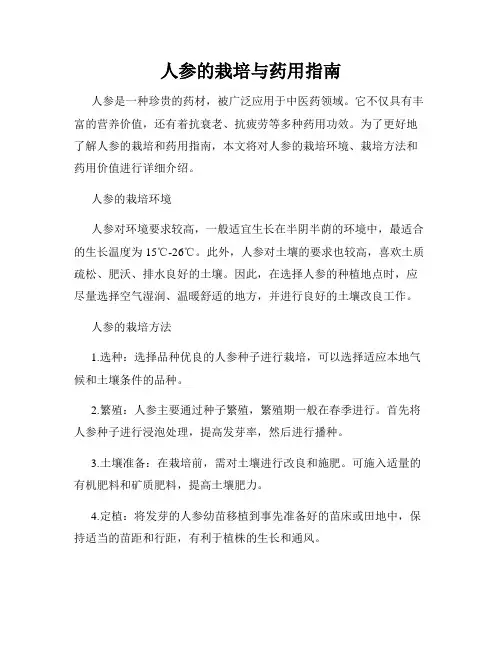 人参的栽培与药用指南