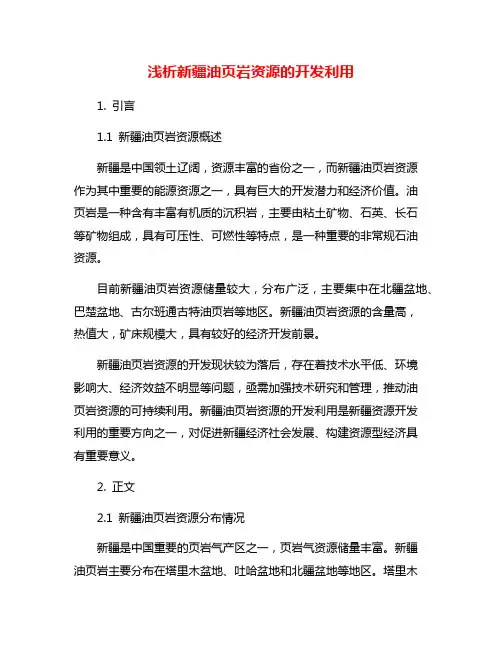 浅析新疆油页岩资源的开发利用