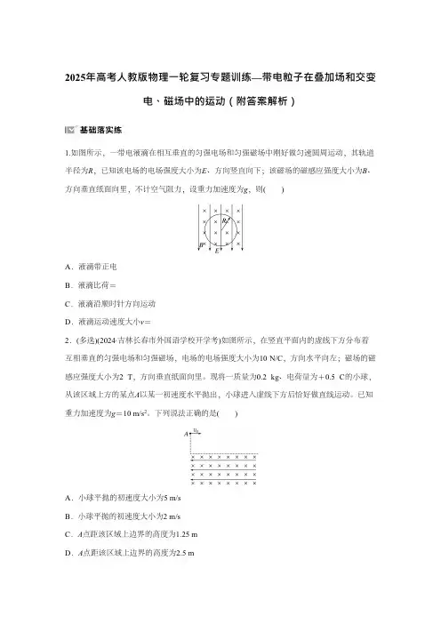 2025年高考人教版物理一轮复习专题训练—带电粒子在叠加场和交变电磁场中的运动  附答案解析