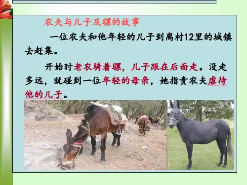 行政决策