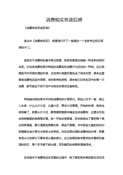 消费税实务读后感