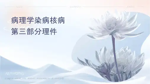 病理学 传染病结核病第三部分护理课件