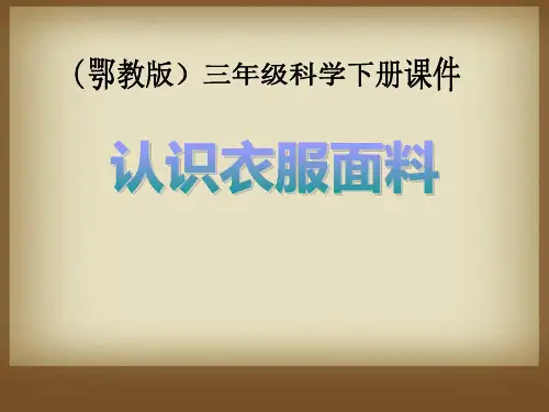 《认识衣服面料》PPT课件2