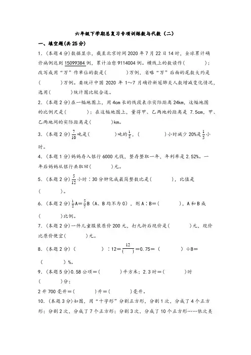 六年级下学期数学总复习专项训练：数与代数(二)(人教版,含答案)