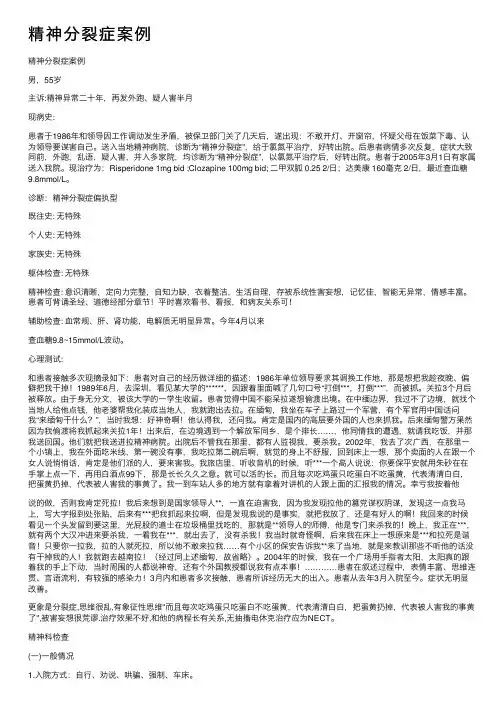 精神分裂症案例
