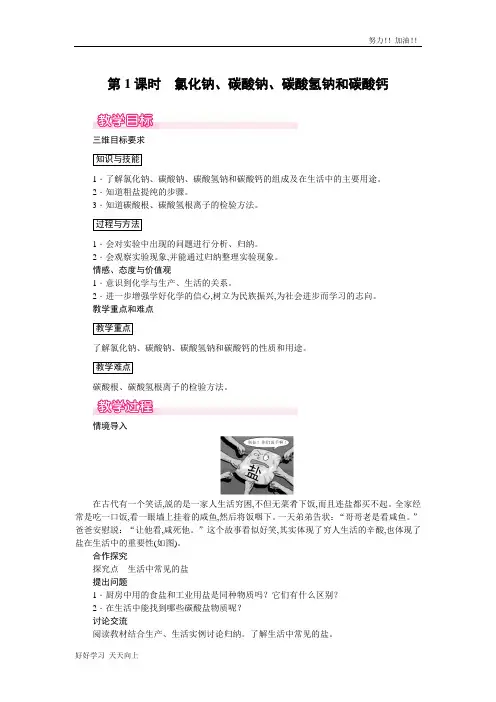 人教版初中初三年级九年级化学下册  氯化钠、碳酸钠、碳酸氢钠和碳酸钙 精品教学教案